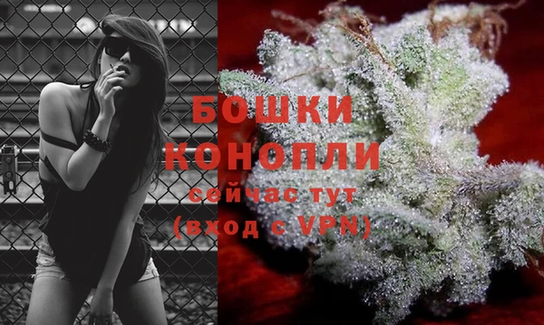 прущие крисы Верхний Тагил
