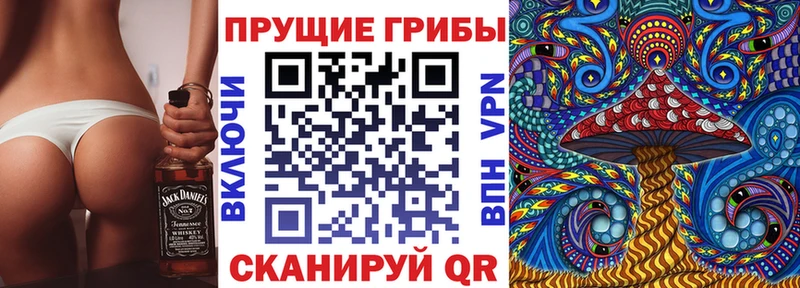 Псилоцибиновые грибы ЛСД  даркнет какой сайт  блэк спрут онион  Верея  закладки 